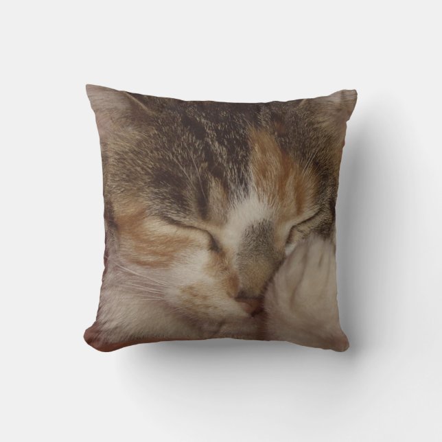 Fuzzy Face Cushion (Front)