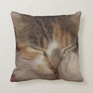 Fuzzy Face Cushion
