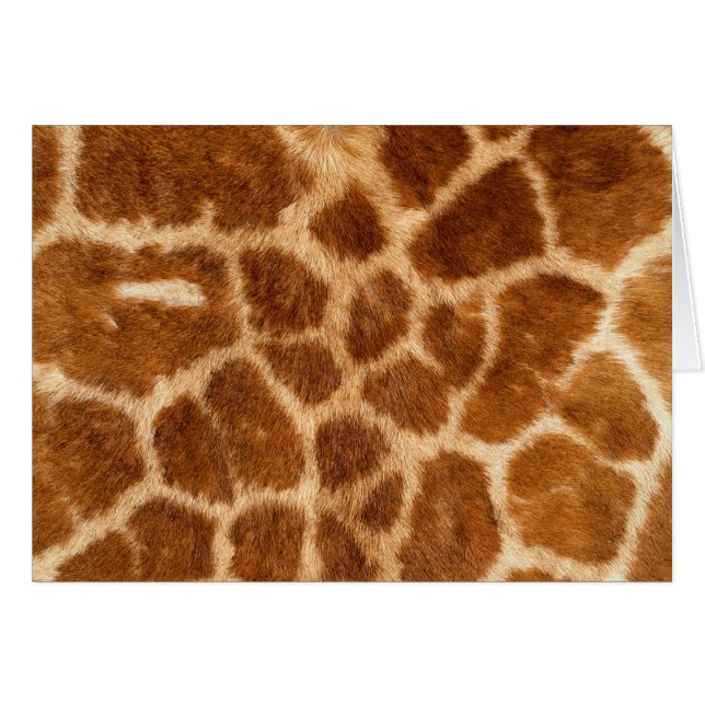 Fuzzy Giraffe Fur Pattern (Front Horizontal)