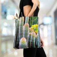 Fuzzy Green Cacti Succulent Photo Simple Modern