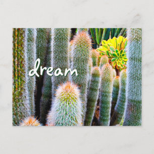 Fuzzy Green Cactus Dream Script Stylish Modern Postcard