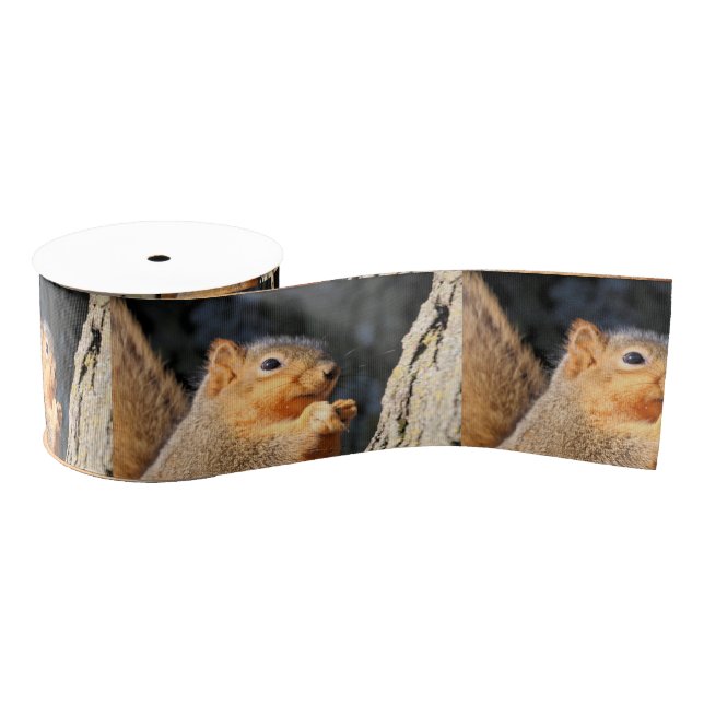 Fuzzy Grosgrain Ribbon (Spool)