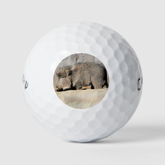 Fuzzy piggies golf balls (Front)