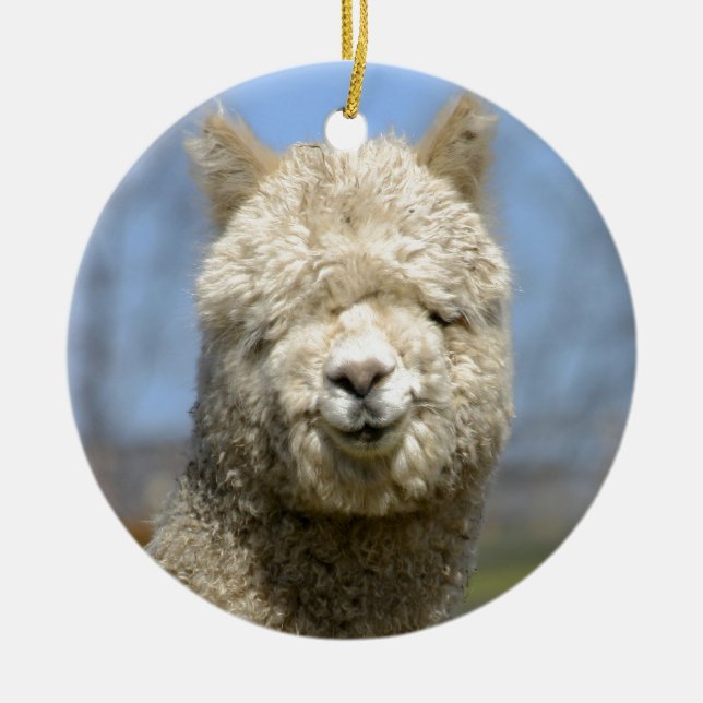Fuzzy White Alpaca Face Ceramic Tree Decoration (Front)
