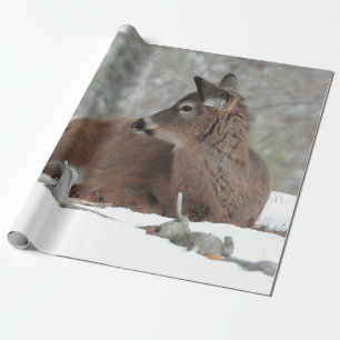 Fuzzy White Tailed Deer Fawn Wrapping Paper