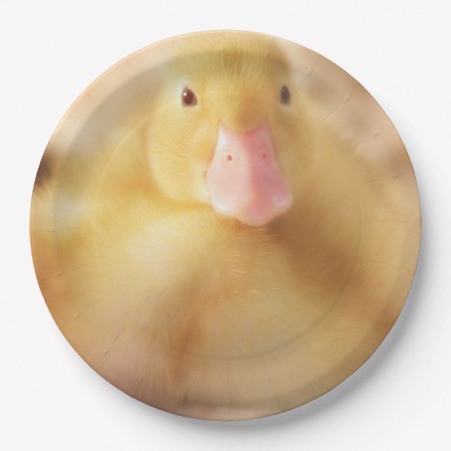 Fuzzy Yellow Duck Easter Baby Duckling Paper Plate (Front)