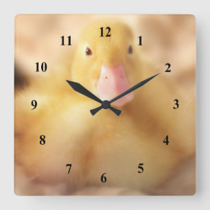 Fuzzy Yellow Duck Easter Baby Duckling Square Wall Clock