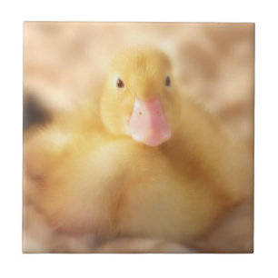 Fuzzy Yellow Duck Easter Baby Duckling Tile