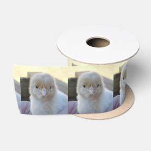 Fuzzy Yellow Little Baby Chicken, Satin Ribbon