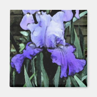 FX- Blue Iris Magnet