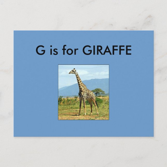 "G" is for Giraffe Alphabet Flashcard Postcard (Front)