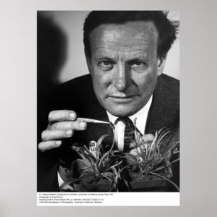 G. Ledyard Stebbins, UC Davis, 1966 Poster