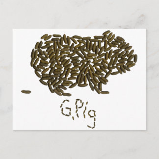 "G. Pig" with Classic Guinea Pig Postcard