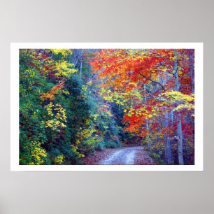 Ga fall poster
