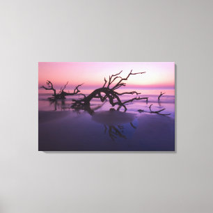 GA Jekyll Island, Tree graveyard on beach at Canvas Print