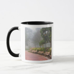 GA Savannah, Azaleas along brick sidewalk and Mug