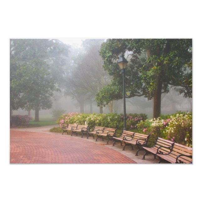 GA Savannah, Azaleas along brick sidewalk and Photo Print (Front)