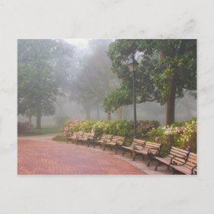 GA Savannah, Azaleas along brick sidewalk and Postcard