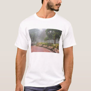 GA Savannah, Azaleas along brick sidewalk and T-Shirt