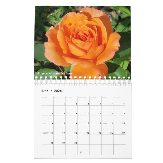 Gabby the Gardener 2021 Calendar (Jun 2026)