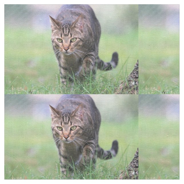 Gabe Fabric (Close Up)