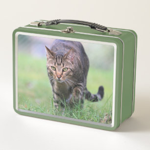 Gabe Metal Lunch Box