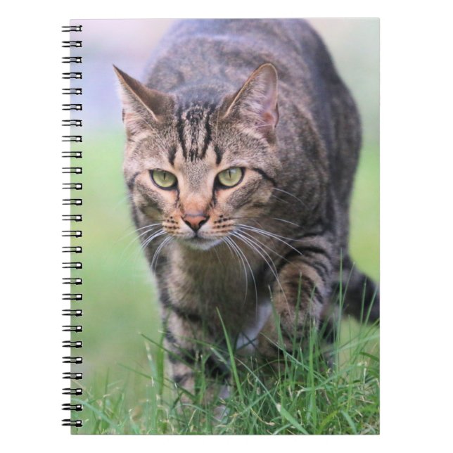 Gabe   notebook (Front)
