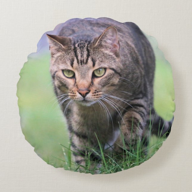 Gabe  round cushion (Front)