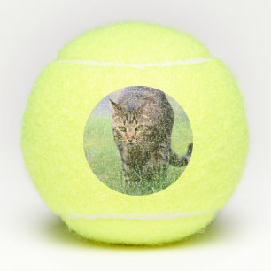 Gabe Tennis Balls
