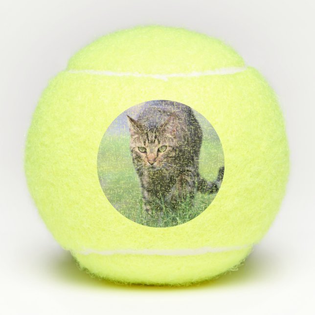 Gabe Tennis Balls (Front)