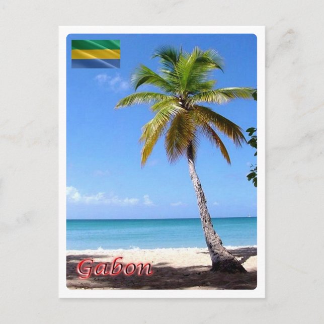 Gabon - Palmier - Postcard (Front)
