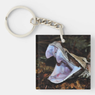 Gabon viper key ring