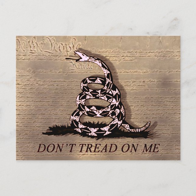 Gadsden Flag Postcard (Front)