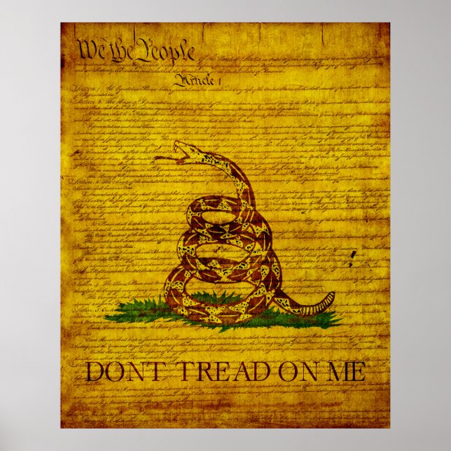 Gadsden Flag Poster (Front)
