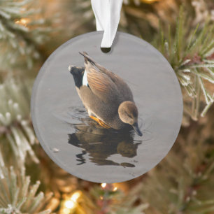 Gadwell Duck and Reflection Christmas Two-Sided Ornament