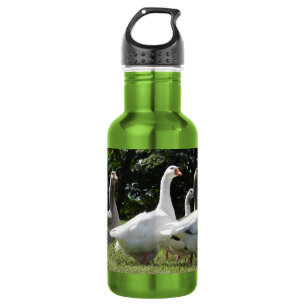 Gaggle of Domesticated Geese 532 Ml Water Bottle
