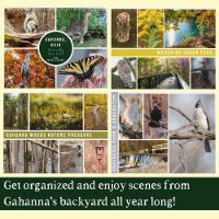Gahanna, Ohio Naturally Beautiful Monthly