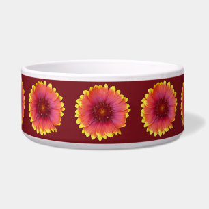 Gaillardia 1