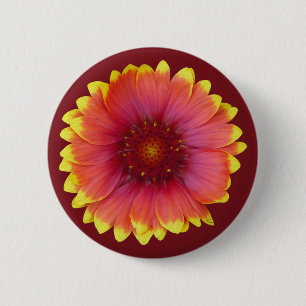 Gaillardia 1 6 cm round badge