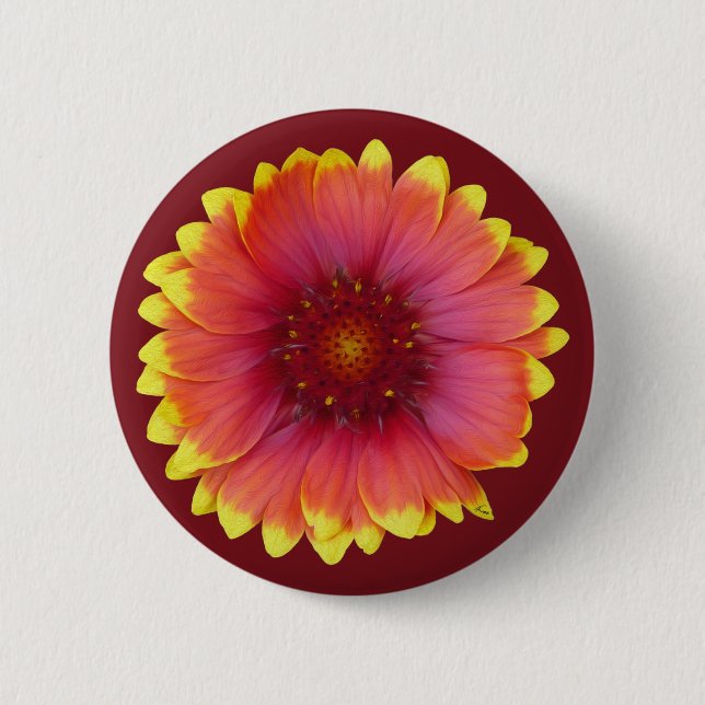 Gaillardia 1 6 cm round badge (Front)
