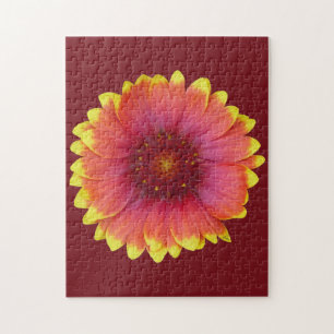Gaillardia 1 jigsaw puzzle