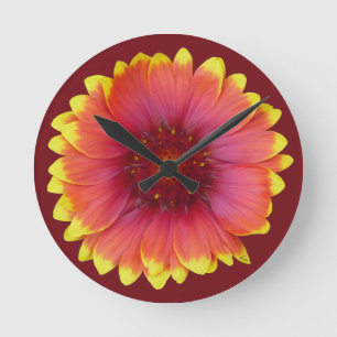 Gaillardia 1 round clock