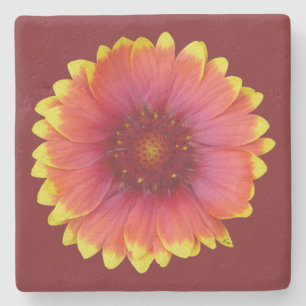 Gaillardia 1 stone coaster