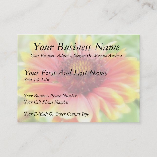Gaillardia Bloom Up Close Business Card (Front)