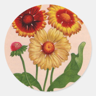gaillardia gaillardias classic round sticker