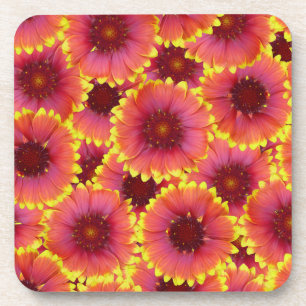 Gaillardia Seamless Pattern Coaster