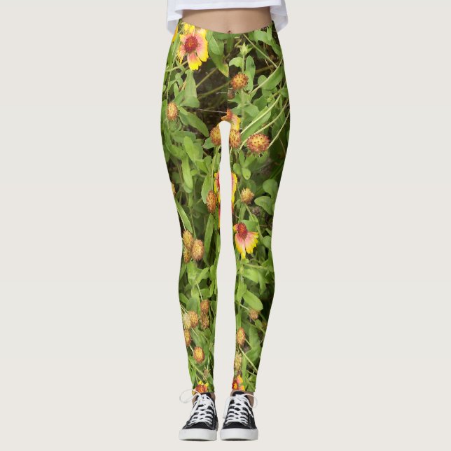 Gaillardia sometimes called Blanket Flowers Leggings (Front)