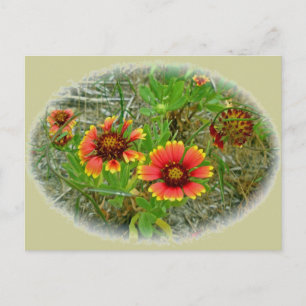 Gaillardia Wildflower (Blanket Flower) Tote Bag Postcard