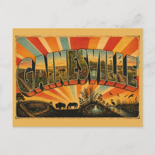 Gainesville Florida Prairie Gardens Springs Postcard