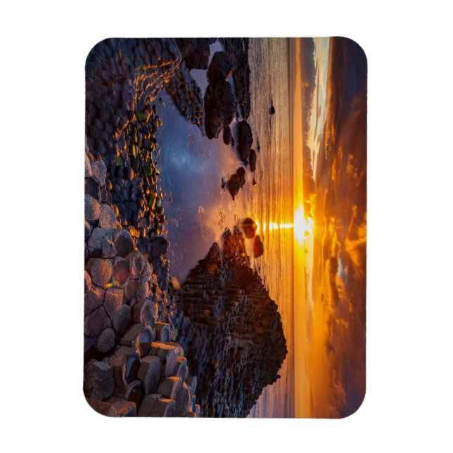 Gaint´s  Causeway in Irland Magnet (Vertical)